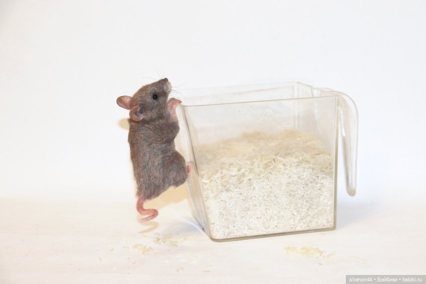 Мышка полевка — Авторские игрушки (фото 6)