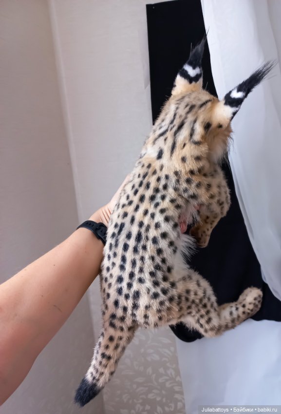 Мягкая игрушка рысь 🐆 — Авторские игрушки (фото 2)