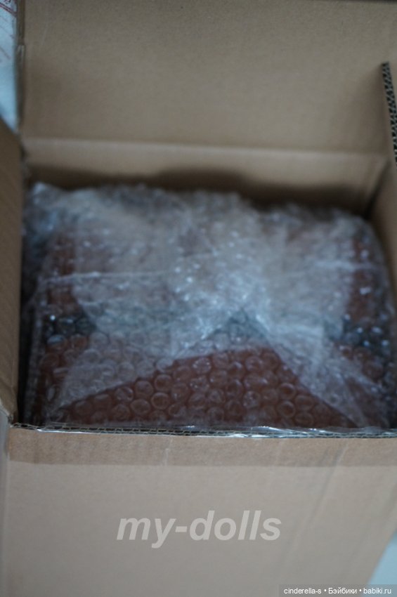 Первый клубный выпуск Роза Rose Ruby Red (фото 3)