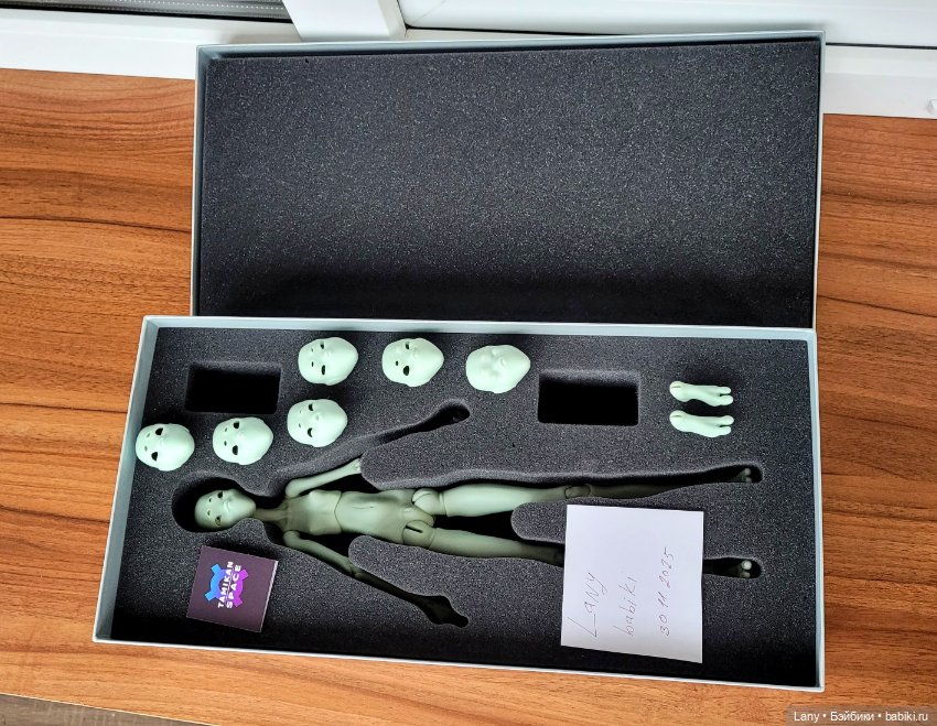 Tamikan Space Aya — Авторские куклы BJD