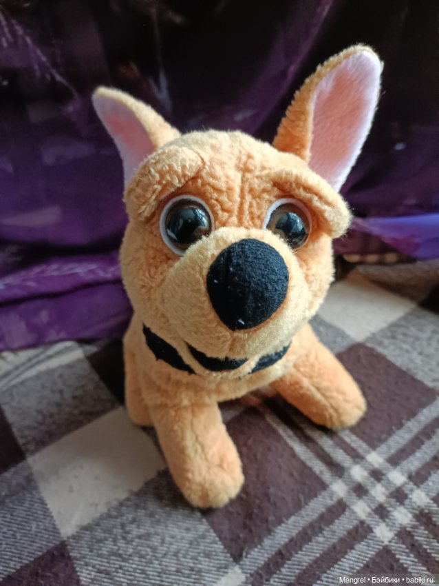 Шесть пушистов в поисках дома (фото 4)