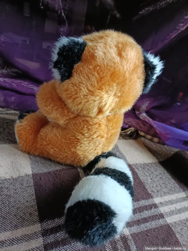 Шесть пушистов в поисках дома (фото 3)