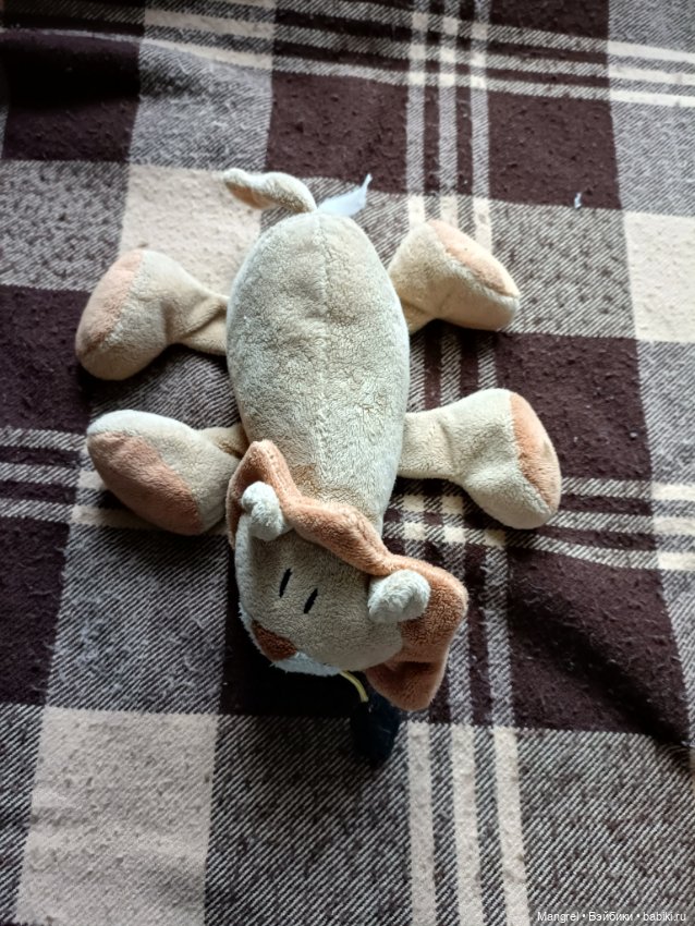 Шесть пушистов в поисках дома (фото 6)