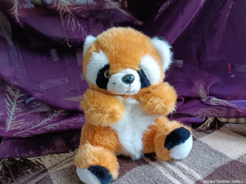 Шесть пушистов в поисках дома (фото 2)