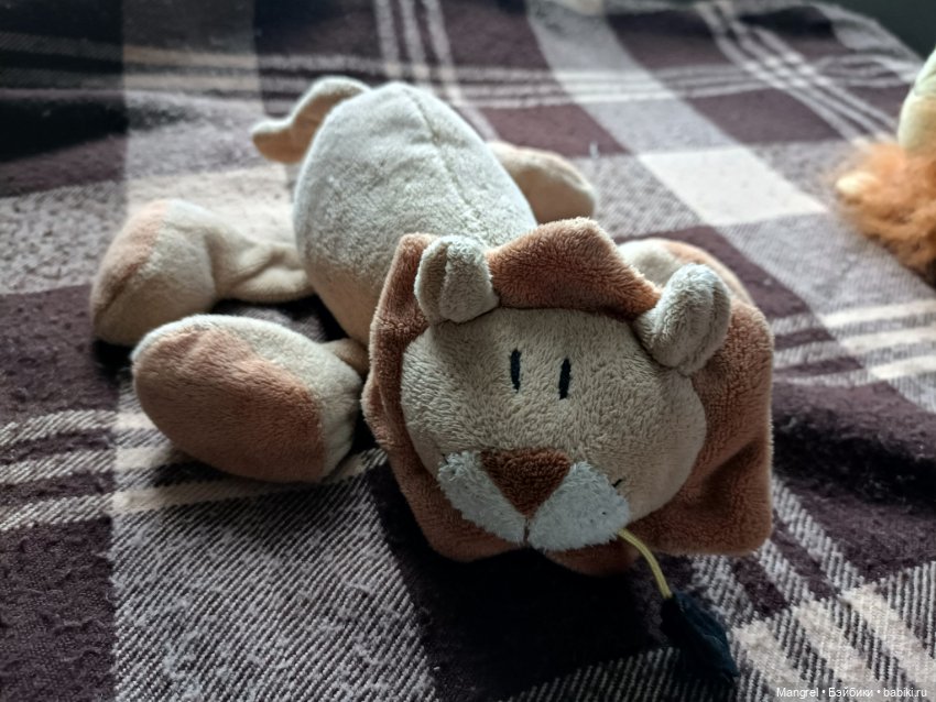 Шесть пушистов в поисках дома (фото 7)