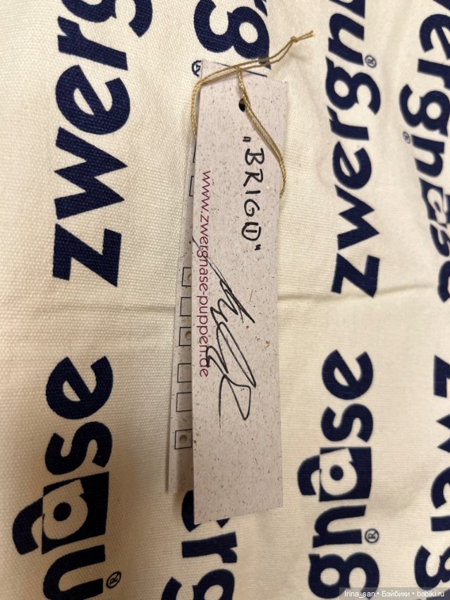 Brigid Zwergnase (Бриджид Цвергназе) №1