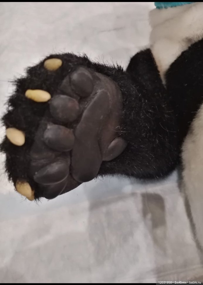 Коллекционный Медведь — Авторские игрушки (фото 2)