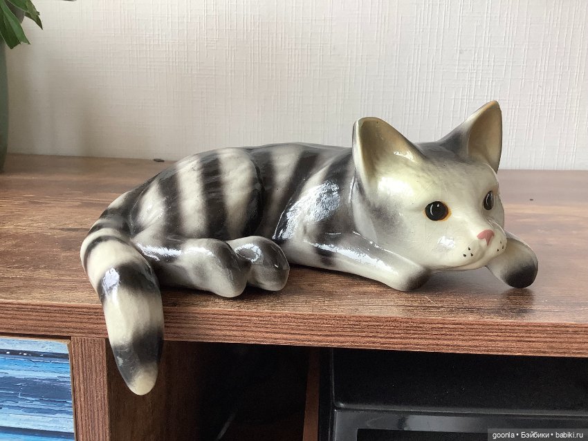 Кот, который живет на полке