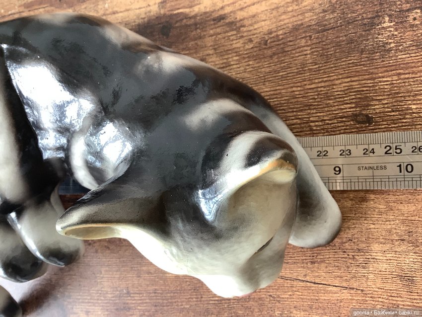 Кот, который живет на полке (фото 5)