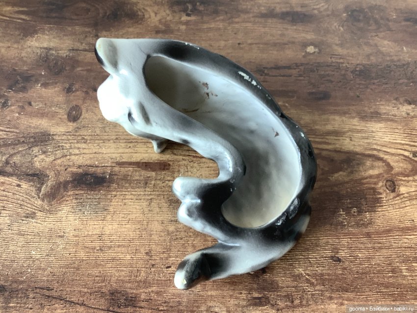 Кот, который живет на полке (фото 4)