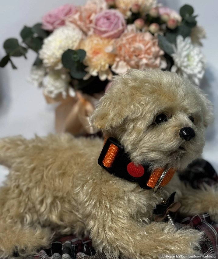 Скелетная игрушка Щенок мальтипу (фото 4)