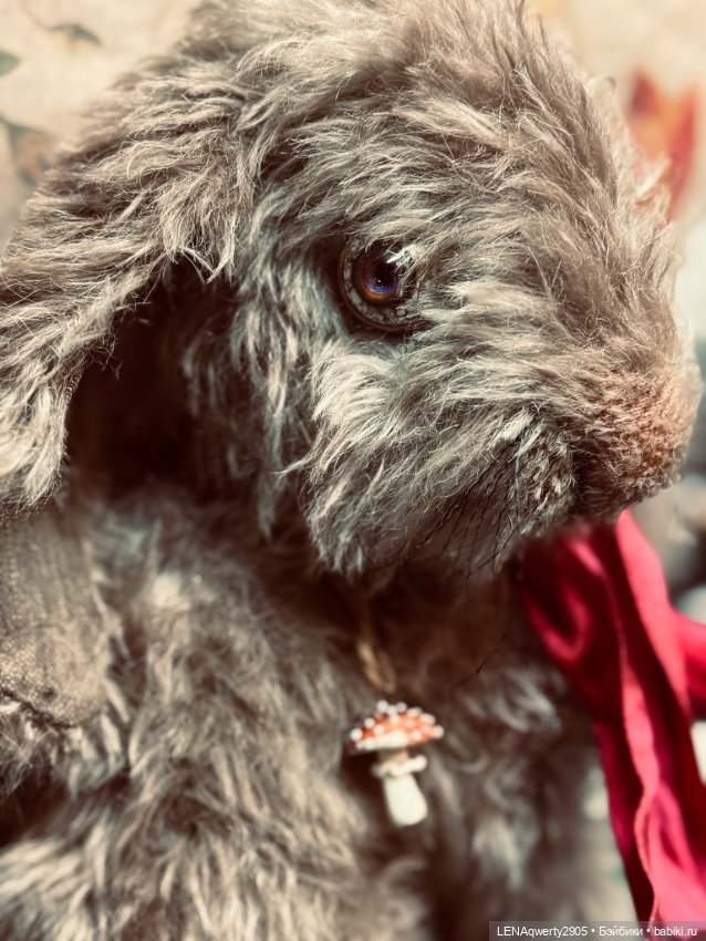 Кролик Дикий — Авторские игрушки (фото 2)