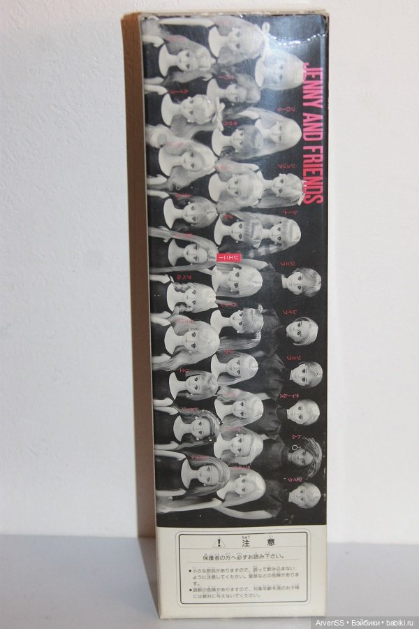 Винтажная подружка Дженни Франсуаза из серии Jenny's Club (фото 3)