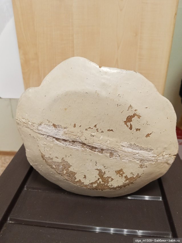 Редкая Снегурочка СССР, художник Димзе М.Р (фото 5)