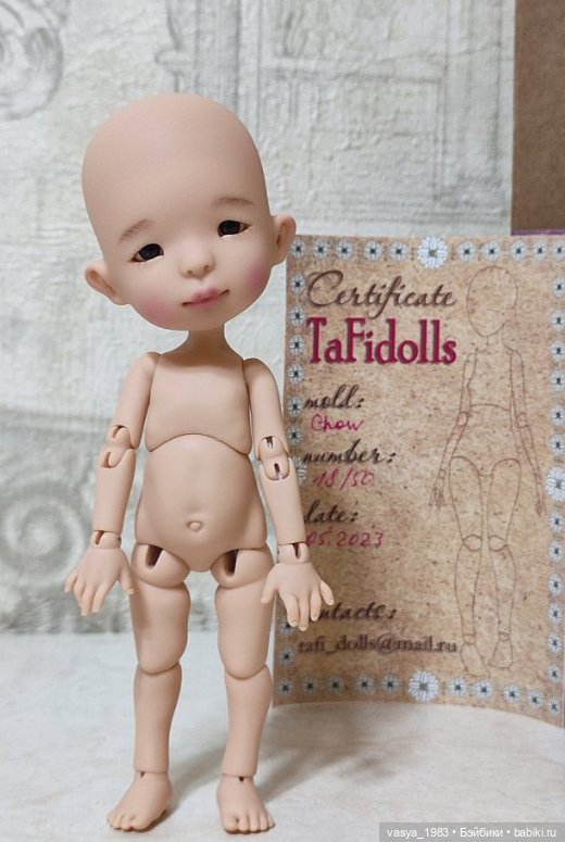 Чоу от Татьяны Филенко — Куклы BJD (фото 10)