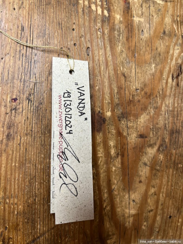 Vanda Zwergnase (Ванда Цвергназе) (фото 5)