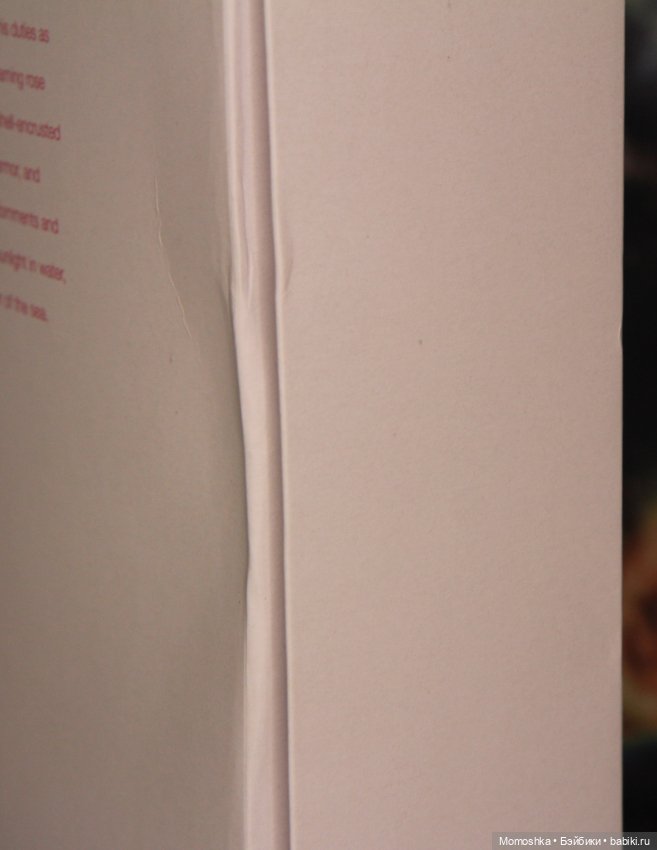 Кен Король Океана Кing Oсean Кеn NRFB (фото 3)