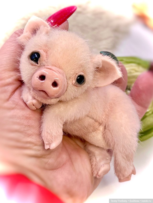 Жорик ( Тедди хрюшка) — Авторские игрушки