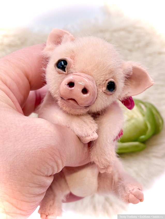 Жорик ( Тедди хрюшка) — Авторские игрушки (фото 5)