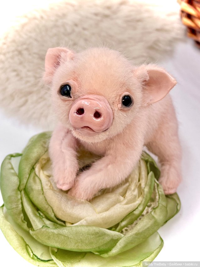 Жорик ( Тедди хрюшка) — Авторские игрушки (фото 8)