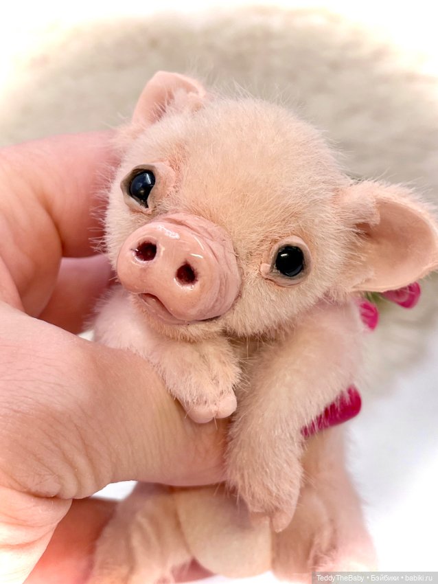 Жорик ( Тедди хрюшка) — Авторские игрушки (фото 4)