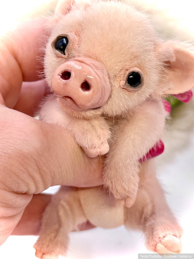 Жорик ( Тедди хрюшка) — Авторские игрушки (фото 3)