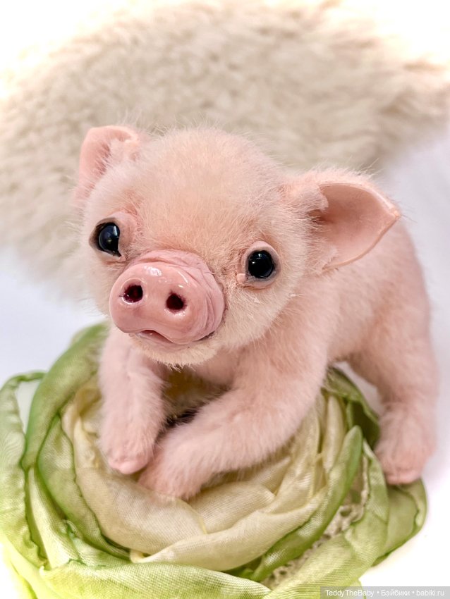 Жорик ( Тедди хрюшка) — Авторские игрушки (фото 9)