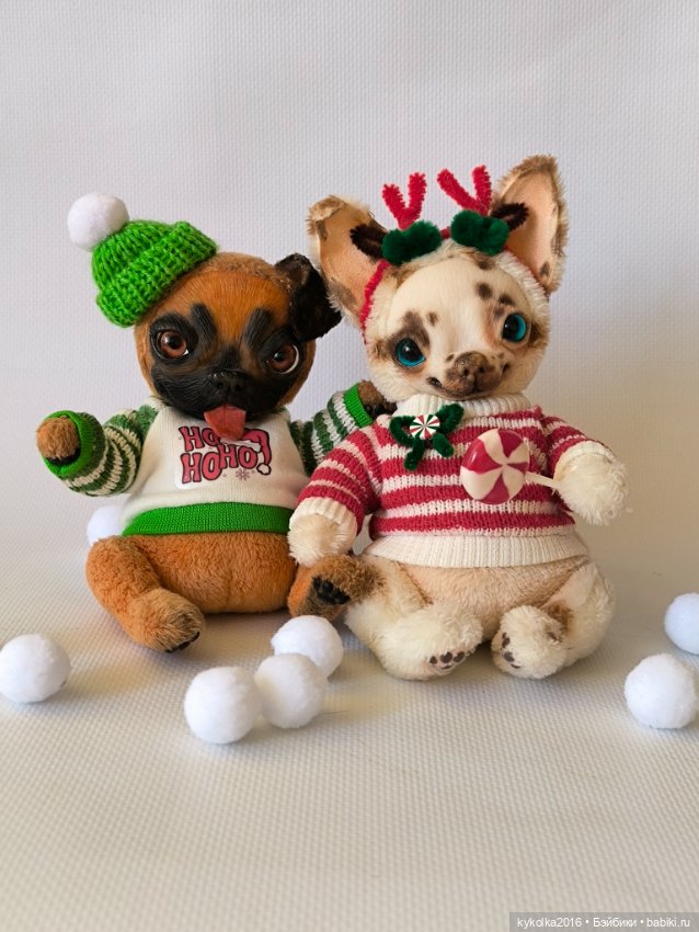 Чихуа хуа тедди синеглазка (фото 4)