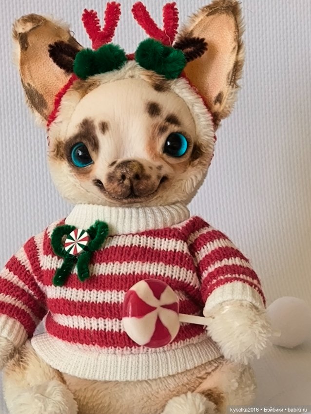 Чихуа хуа тедди синеглазка (фото 3)