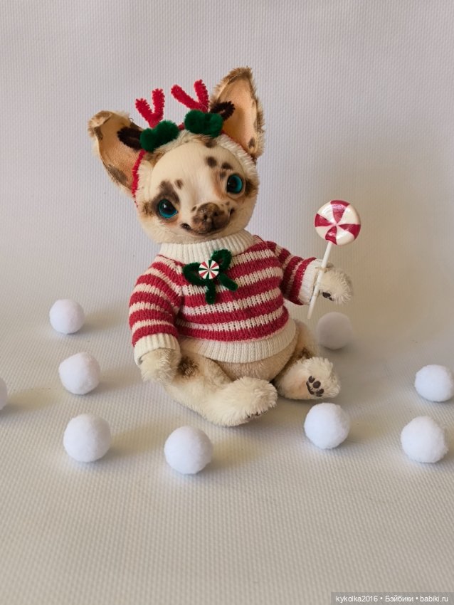 Чихуа хуа тедди синеглазка