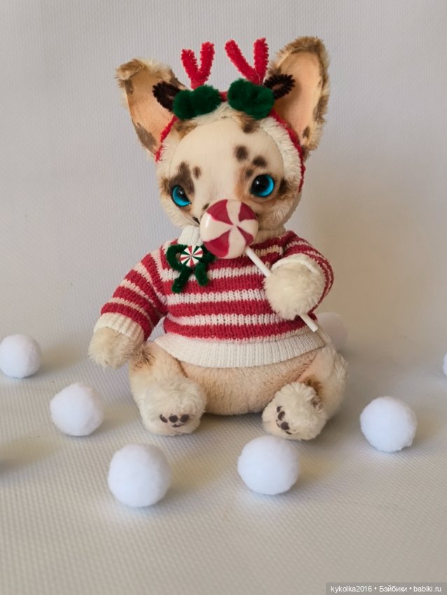 Чихуа хуа тедди синеглазка (фото 2)