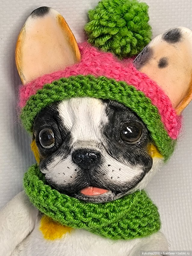 Французкий бульдожек в шапочке (фото 4)