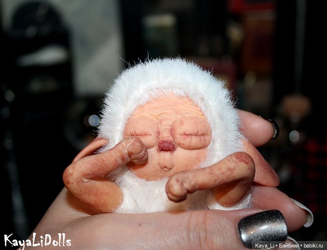 Сладко спящая суселка Мидусся (фото 4)