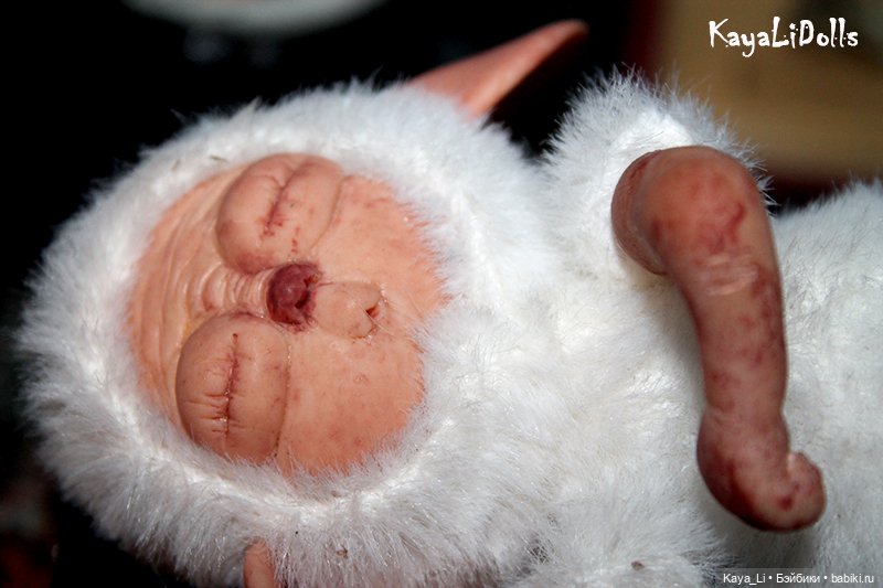 Сладко спящая суселка Мидусся (фото 3)