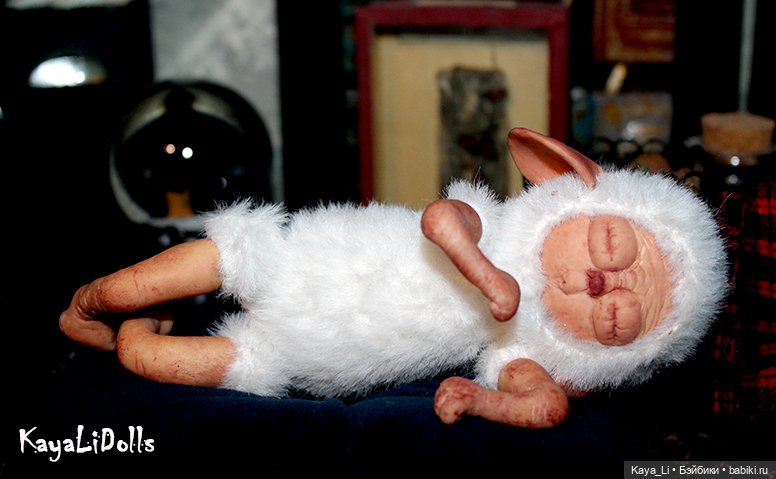 Сладко спящая суселка Мидусся (фото 5)