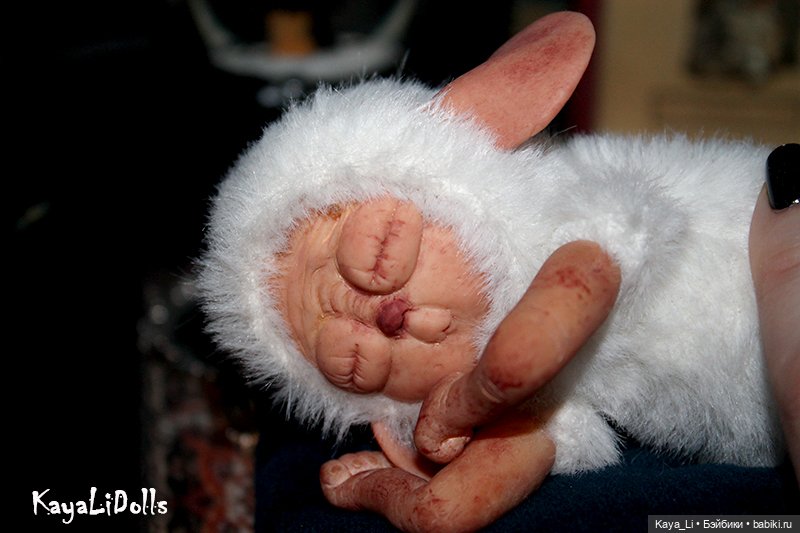 Сладко спящая суселка Мидусся (фото 2)