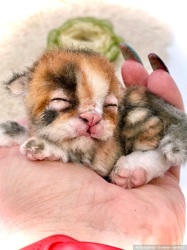 Lucky — Авторские игрушки (фото 7)