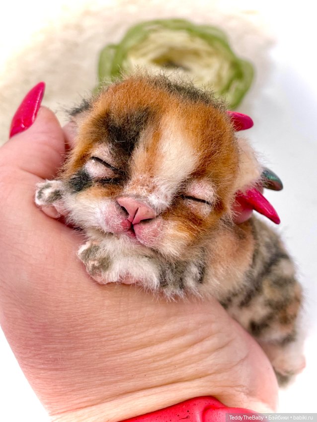 Lucky — Авторские игрушки (фото 10)