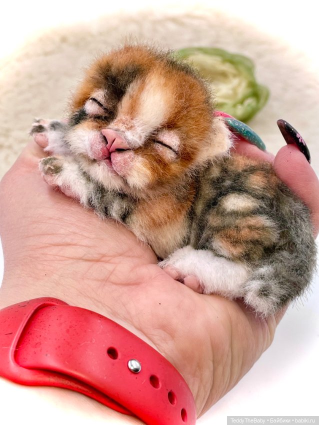 Lucky — Авторские игрушки (фото 3)