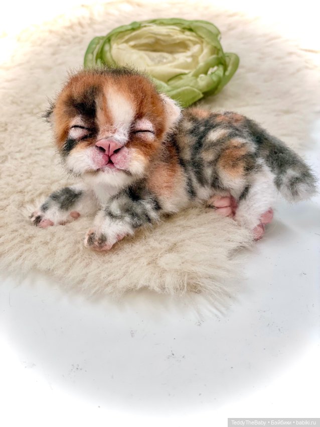 Lucky — Авторские игрушки (фото 8)