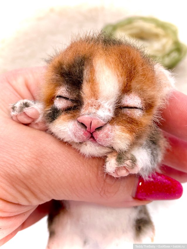 Lucky — Авторские игрушки (фото 5)