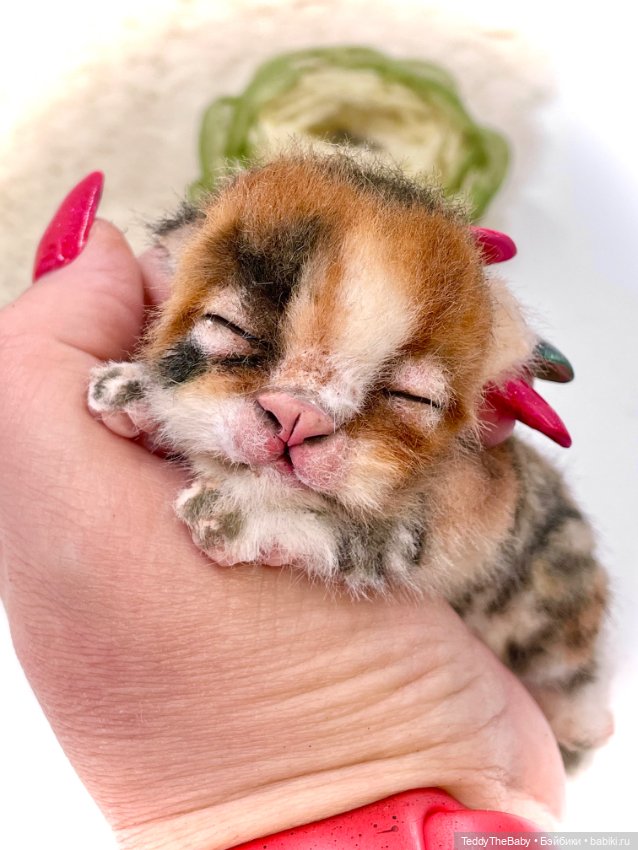 Lucky — Авторские игрушки