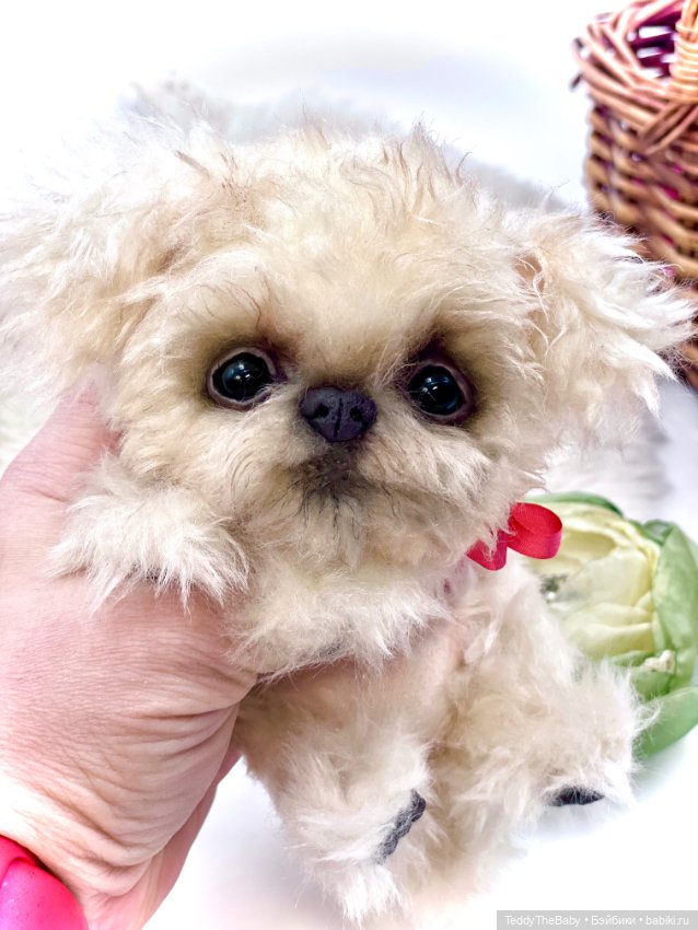 Юки ( щенок Тедди) — Авторские игрушки (фото 4)