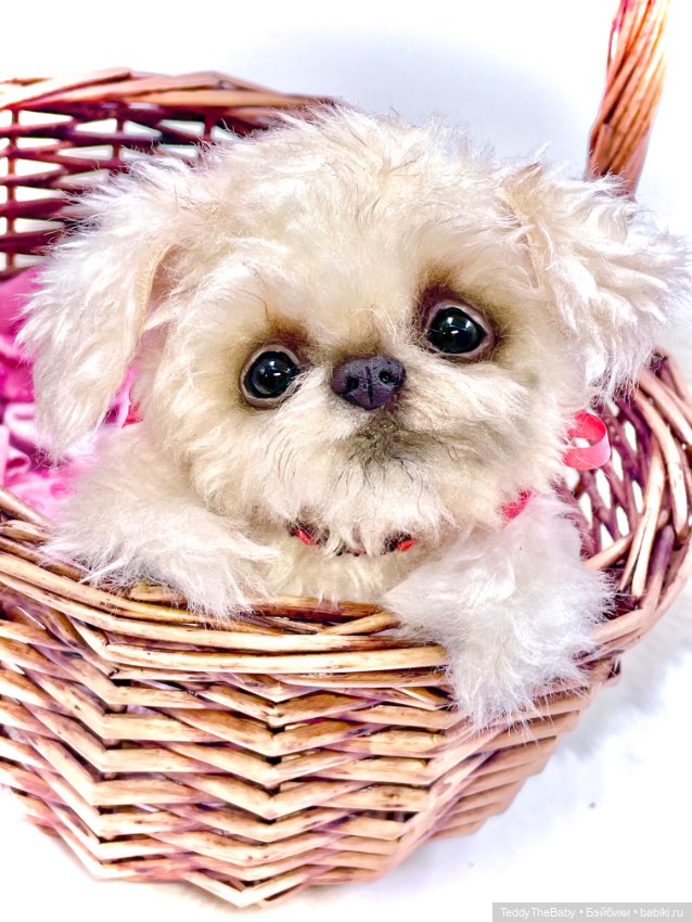 Юки ( щенок Тедди) — Авторские игрушки (фото 6)