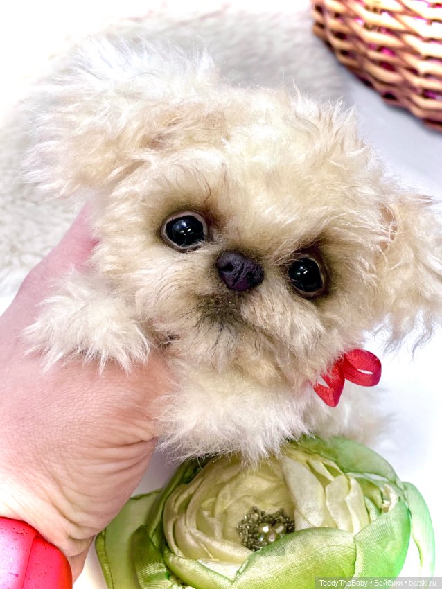 Юки ( щенок Тедди) — Авторские игрушки