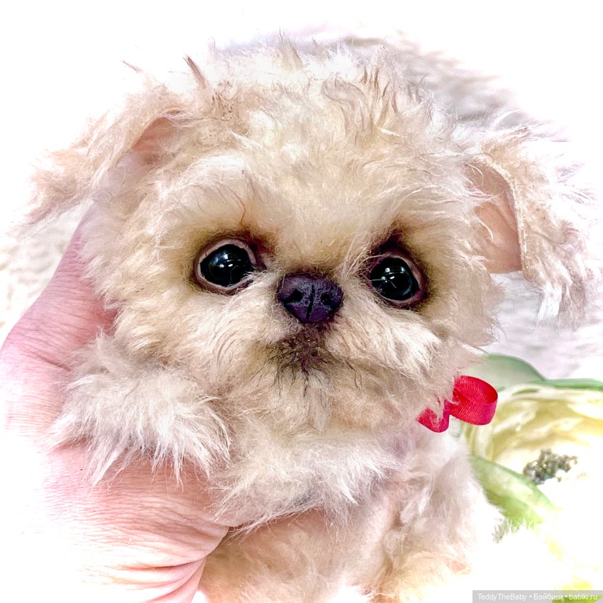 Юки ( щенок Тедди) — Авторские игрушки