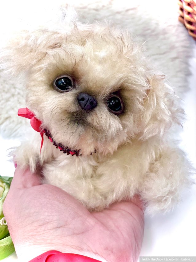 Юки ( щенок Тедди) — Авторские игрушки (фото 8)
