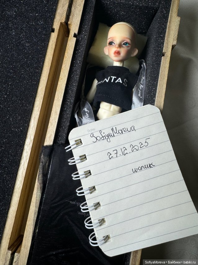 Noctis Doll bjd Kala — Куклы BJD (фото 6)