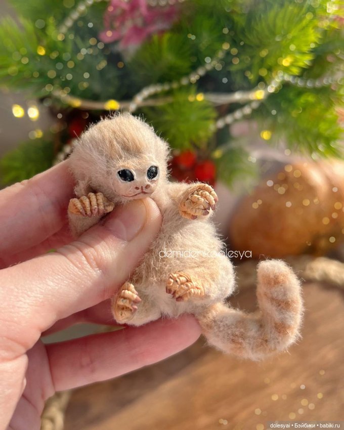 Миниатюрные обезьянки игрунки (фото 3)