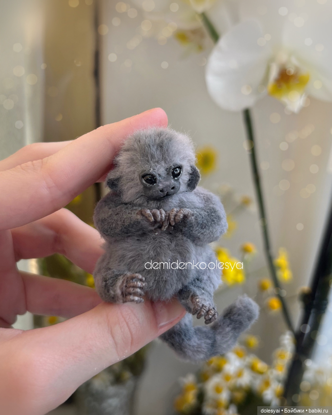 Миниатюрные обезьянки игрунки (фото 4)